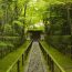 苔の参道があまりにも美しい。京都「高桐院」の幻想的な雰囲気に引き込まれそう