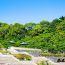 須磨離宮公園でほっとする旅を。一年中華やぐ庭園をご紹介。
