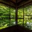 【若紅葉】新緑の海に溺れそう…京都「瑠璃光院」が2ヶ月限定で特別公開中！
