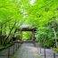 新緑に癒される京都旅。この季節ならではの風情が味わえるスポットまとめ