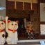 今戸神社は招き猫発祥の地！浅草の今注目のパワースポットに行こう。