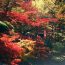自然美が堪能できる！県内随一の紅葉スポット香嵐渓の魅力をご紹介♪