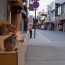 伊勢の台所！勢田川沿いの風情ある蔵カフェでほっこり カフェと街並みを紹介