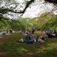都会のピクニックのイメージを実現したいなら…代々木公園に行こう！