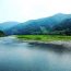 ​日本最後の清流！高知県・四万十川のホタル観賞は5月下旬からから6月上旬が見頃！