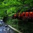 京都を日帰りで楽しむならこれ！京都市内発の日帰りツアーで京都を満喫