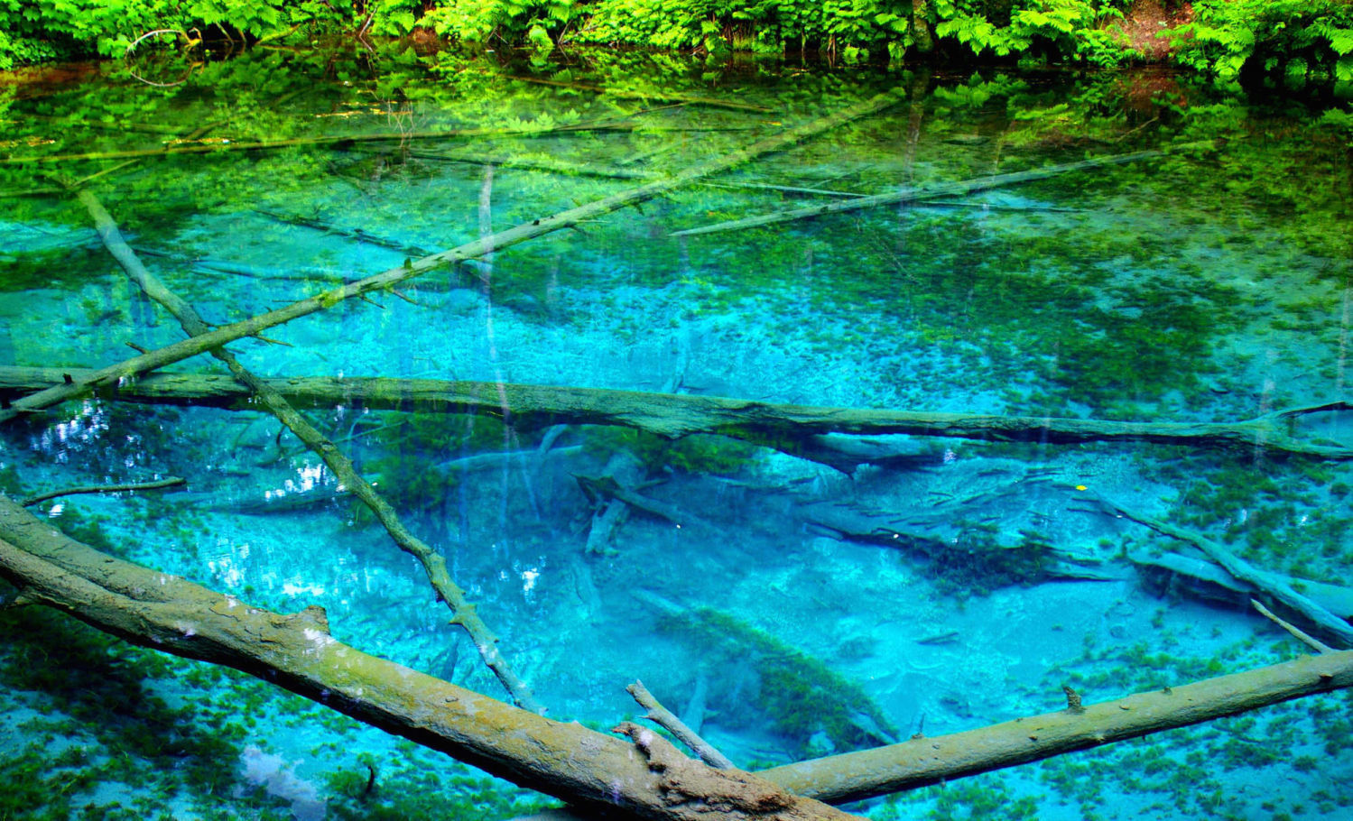 これは本当に池なの 国内に実在する4つの 青い池 絶景 Triipnow