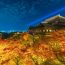 清水寺の秋の夜間特別拝観が幻想的・・・京の夜空が美しく染まります！