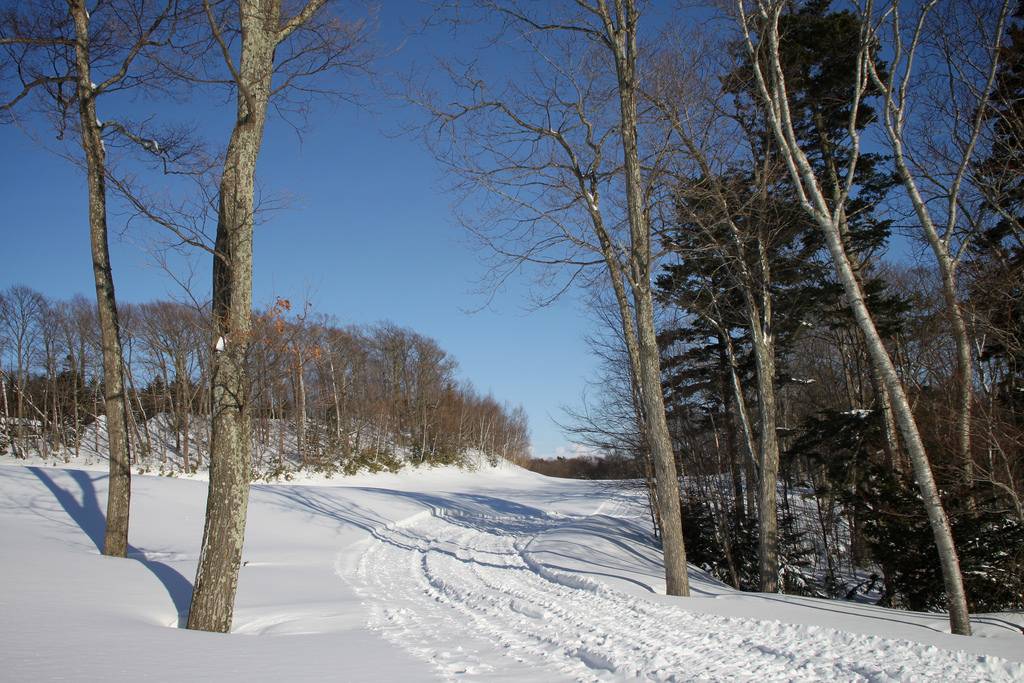 雪と氷が創り上げる芸術作品 蔵王の スノーモンスター が言葉を失うほどの絶景 Triipnow