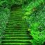 【緑の絨毯】苔の階段が趣ありすぎ！鎌倉「妙法寺」の安らぐ5つの魅力とは？