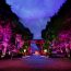 世界遺産が光のアート空間に！美しく照らされる「下鴨神社」が超神秘的！