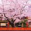 京都の春におすすめな観光地ランキングベスト10！数ある名所から厳選！