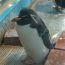 長崎の水族館でイルカやペンギンとふれあう♪癒される3施設を詳しく紹介します！