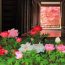 古刹に華やぎを添える初夏の花々を訪ねて、奈良・大和路の「長谷寺」へ