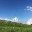 空気がおいしい天空の楽園！四国カルストの「大野ヶ原」がまるでスイスのよう！