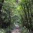 ダイナミックな自然の中で気分爽快！「那須平成の森」を歩こう！