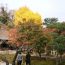 季節限定で公開 … 初代鎌倉公方が創建！鎌倉にある「長寿寺」でのんびりお庭を眺める♪
