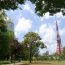 東京タワーも見える桜の名所！東京都港区にある「芝公園」の魅力とは？