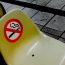 【関東・甲信越】タバコのにおいが苦手な方にオススメの禁煙ルームがあるペンション6選