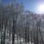 冬の絶景　北秋田市の森吉山 樹氷鑑賞はゴンドラで登って雪山ウォーキング