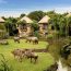 シマウマやサファリの動物が行きかうリゾートホテル！でも、ここはバリ?!　Mara River Safari Lodge に泊まってみたい！