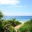 沖縄の空と海のコントラストが眩しい「アダンの木」