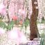 まばゆいばかりの花と光の共演！日本最大のイルミネーション「なばなの里」