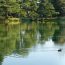一年を通して魅了する日本三名園の一つ「兼六園」。その壮大さは圧巻！