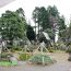 津軽独自の造園法　春夏秋冬通して趣がある「大石武学流庭園」が青森県内で鑑賞できるスポット