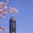 展望台からの景色は絶景！愛知県名古屋市にある「東山スカイタワー」は人気のデートスポット