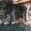 お手頃価格で入浴できる！箱根にある「箱根湯本温泉　かっぱ天国」の魅力