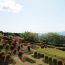 戦国時代の末に建てられた山城跡地！静岡県三島市にある「山中城跡公園」で自然にふれる