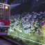 期間限定！箱根の夜は幻想的なあじさいの世界を「箱根登山鉄道」で！