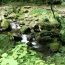 岐阜・ひるがの高原「牧歌の里」で温泉に♪牧歌の里温泉「牧華」を紹介しちゃいます！
