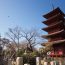 重要文化財の五重塔を見に行きたい！大田区の池上本門寺へのアクセス方法詳しく教えちゃいます！！