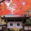 桜や紅葉を楽しむならここ！京都の歴史あるお寺「光明寺」について♪