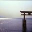 琵琶湖畔のペットと泊まれる旅館♪滋賀の「暖灯館きくのや」を紹介します！！