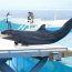 イルカショーが大人気！沖縄県の美ら海水族館にある「オキちゃん劇場」の魅力