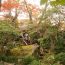 お茶室でゆったり過ごせる！箱根にある「箱根強羅公園　白雲洞茶苑」の魅力
