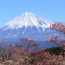 富士山や駿河湾が一望できる！静岡県富士市にある「岩本山公園」は春に大人気のスポット