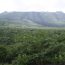 三原山温泉の露天風呂で絶景を眺めよう！大島にある温泉の魅力を紹介。