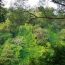 森の妖精に出会う？！メルヘンなバンガローのあるうまみち森林公園をご紹介！！